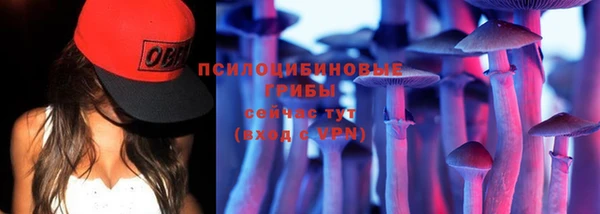 мет Нефтекумск