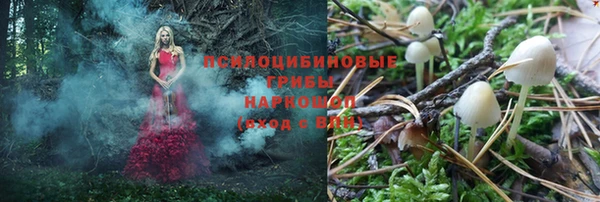 гидра Болотное