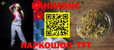 МДПВ Бийск