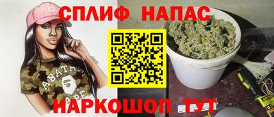 МДПВ Бийск