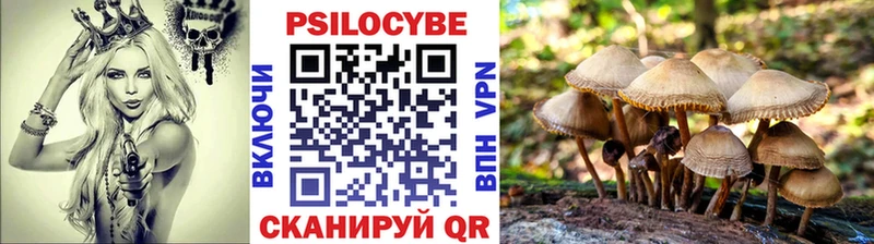 Галлюциногенные грибы Cubensis  Благодарный 