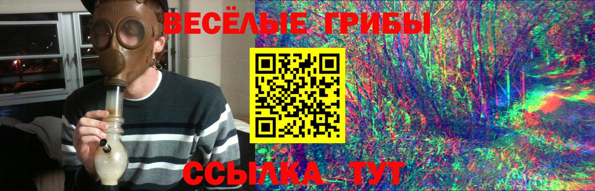 Галлюциногенные грибы MAGIC MUSHROOMS  Галлюциногенные грибы MAGIC MUSHROOMS  Благодарный  где продают   Вход с VPN 