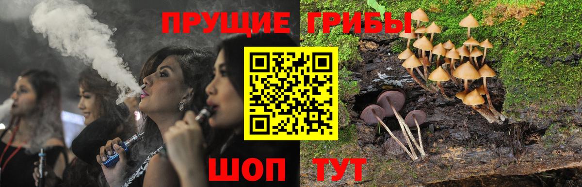Галлюциногенные грибы Cubensis Благодарный